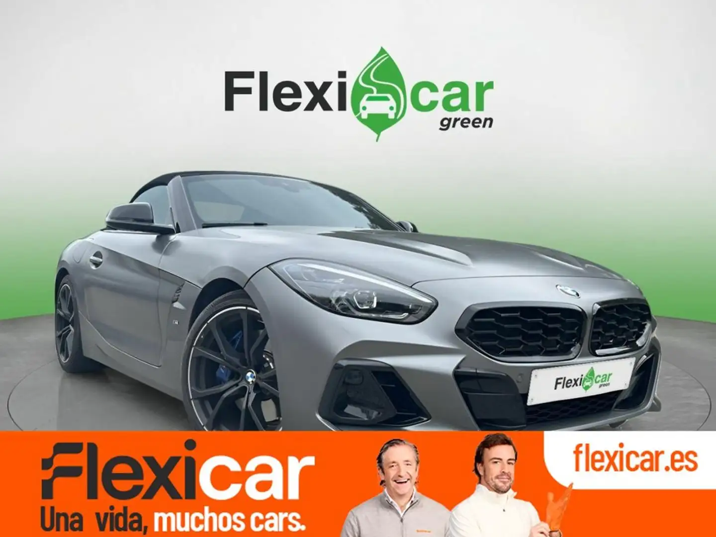 BMW Z4 sDrive 30i Gris - 1