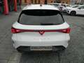 CUPRA Leon 1.5 eTSI DSG EdgeP/Navi/Sitzheiz/IntelligentD Weiß - thumbnail 4