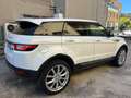 Land Rover Range Rover Evoque Range Rover Evoque 2.0 TD4 180 CV 5p. HSE Dynamic Wit - thumbnail 6