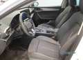 CUPRA Leon 1.5 TSI DSG NAVI,SHZ,KESSY,FULLLINK Weiß - thumbnail 4
