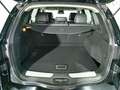 Renault Koleos dCi 175 4WD Intens Schwarz - thumbnail 12
