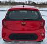 Kia Picanto 1.0 Attract Klima Rot - thumbnail 8