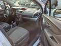 Opel Mokka Mokka 1.6 Ecotec 115CV 4x2 Start&Stop Blanc - thumbnail 13