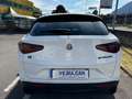 Alfa Romeo Stelvio Stelvio 2.2 Turbodiesel 190 CV AT8 Q4 B-Tech Bianco - thumbnail 6