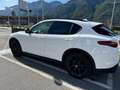 Alfa Romeo Stelvio Stelvio 2.2 Turbodiesel 190 CV AT8 Q4 B-Tech Bianco - thumbnail 8