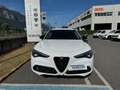 Alfa Romeo Stelvio Stelvio 2.2 Turbodiesel 190 CV AT8 Q4 B-Tech Bianco - thumbnail 4