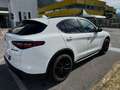 Alfa Romeo Stelvio Stelvio 2.2 Turbodiesel 190 CV AT8 Q4 B-Tech Bianco - thumbnail 7