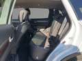 Renault Koleos Intens 4x4 FLA SpurH Wit - thumbnail 10