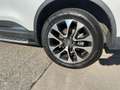 Renault Koleos Intens 4x4 FLA SpurH Wit - thumbnail 14