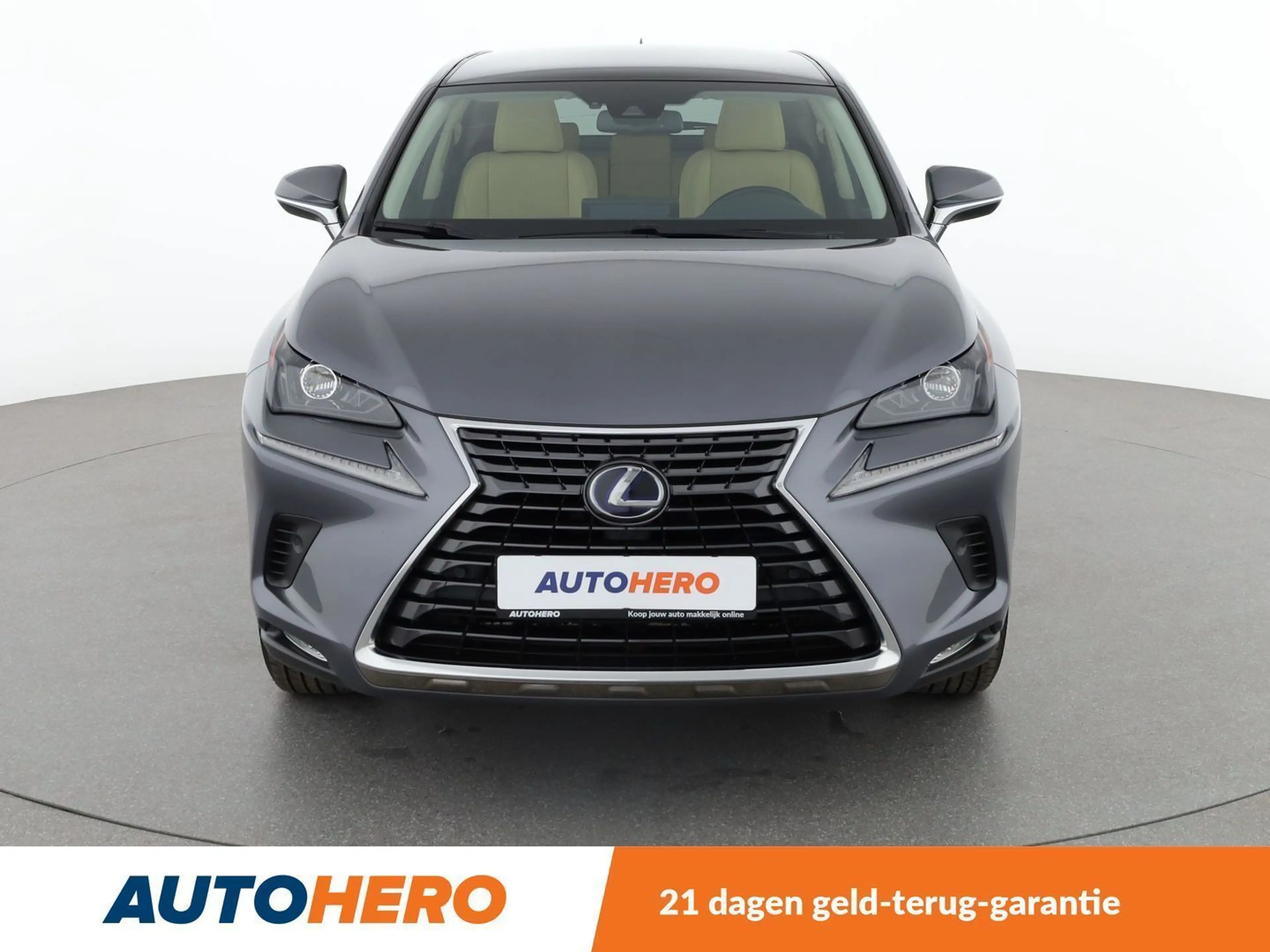 Lexus NX 300h NX 300h E-Four Executive Line — photo 9