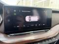 Skoda Octavia 4x4 SCOUT TDI DSG Silber - thumbnail 14