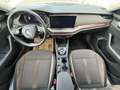 Skoda Octavia 4x4 SCOUT TDI DSG Silber - thumbnail 10