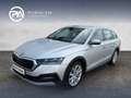 Skoda Octavia 4x4 SCOUT TDI DSG Silber - thumbnail 1