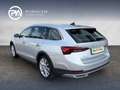 Skoda Octavia 4x4 SCOUT TDI DSG Silber - thumbnail 3