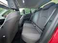 SEAT Leon FR*SPORT-STYLE*NAVI*PANO*84-TKM* Rouge - thumbnail 9