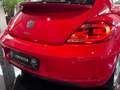 Volkswagen Beetle Lim. Design LED/BiXenon Pano Tempo PDC Rot - thumbnail 33