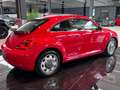 Volkswagen Beetle Lim. Design LED/BiXenon Pano Tempo PDC Rot - thumbnail 31