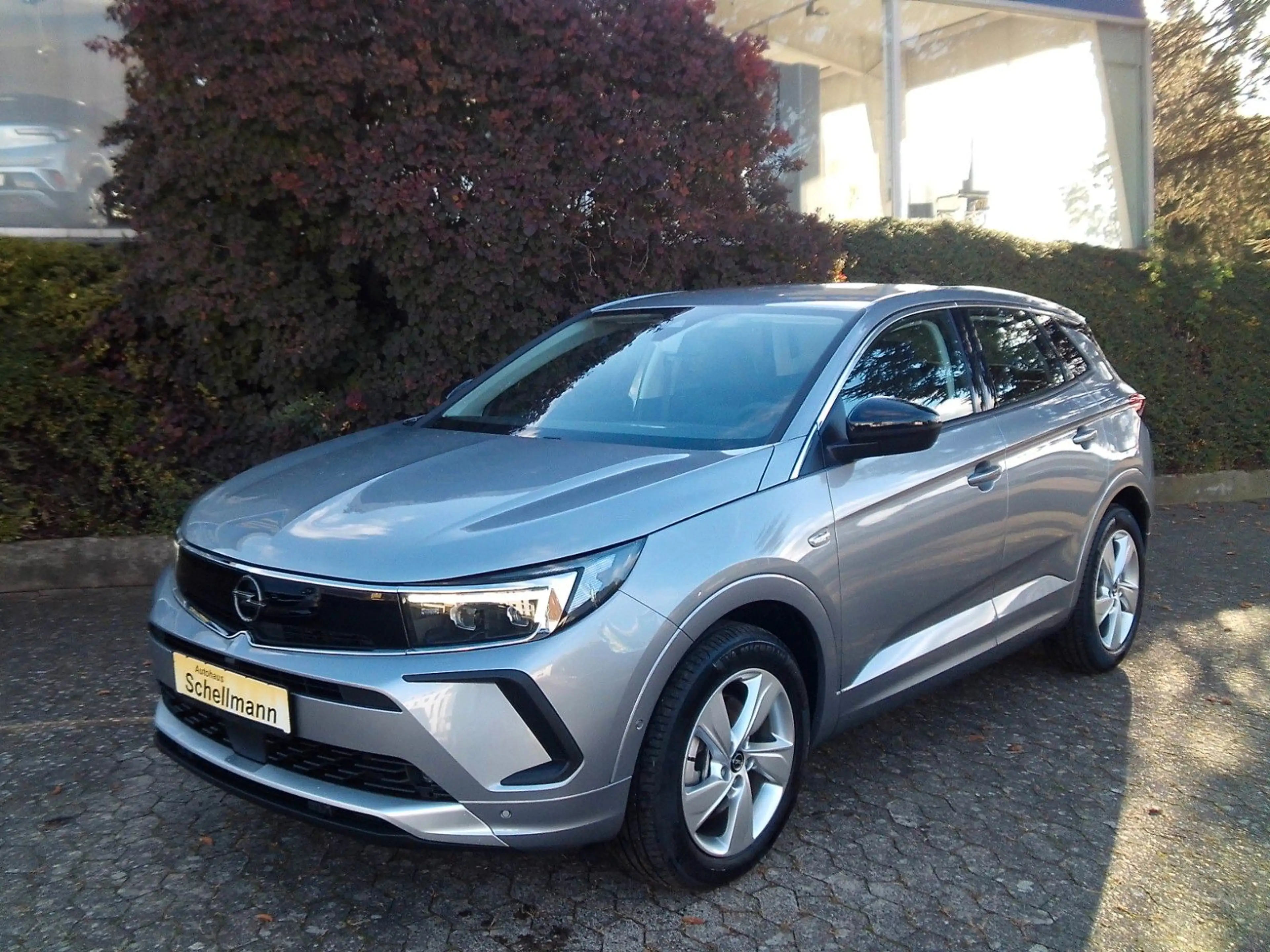 Opel Grandland X Grandland PlugInHybrid Voll-LED SHZ LHZ FSHZ Nav — photo 2