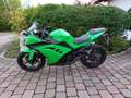 Kawasaki Ninja 300 zelena - thumbnail 2