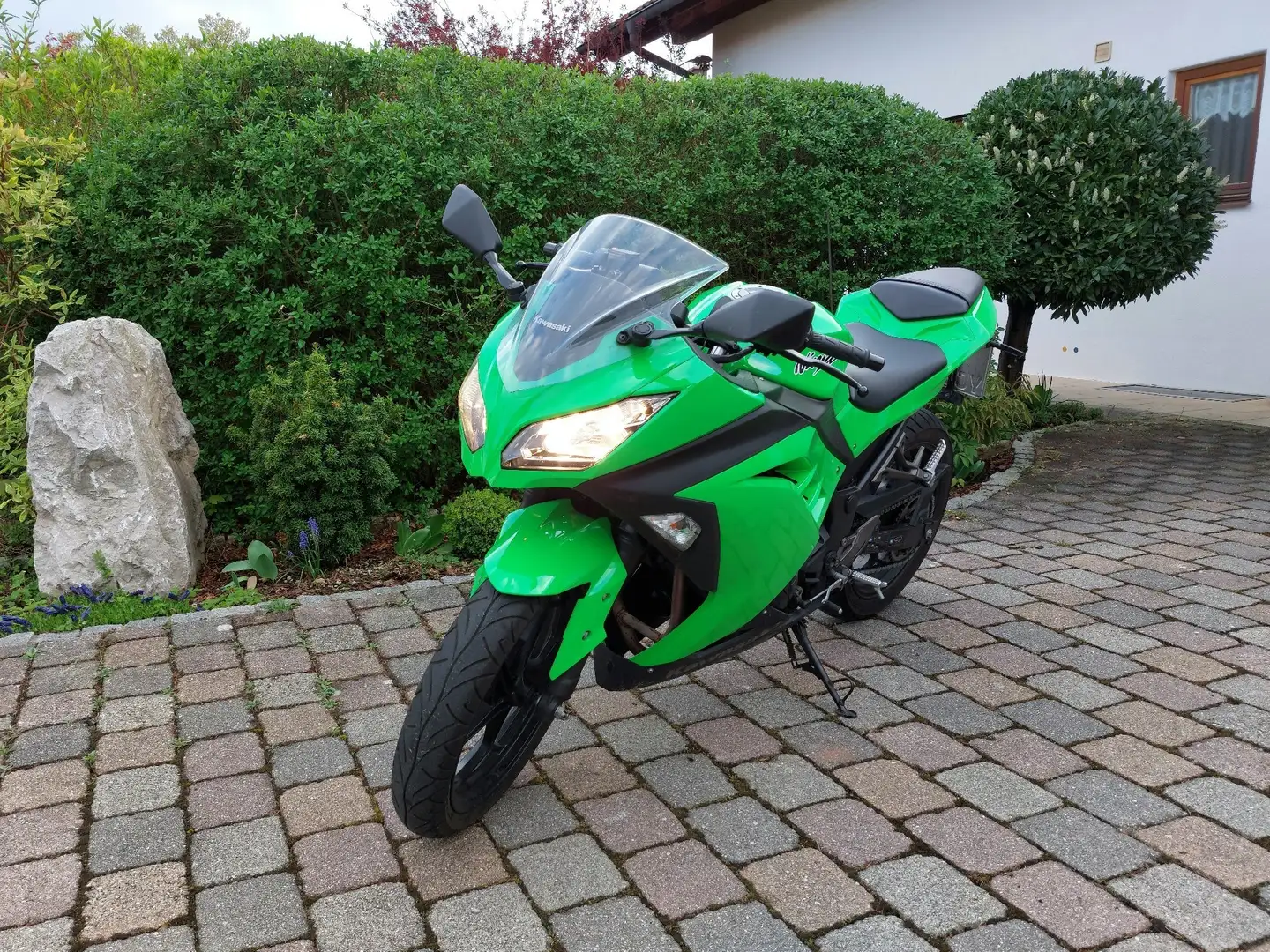 Kawasaki Ninja 300 Zöld - 1