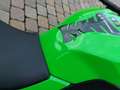 Kawasaki Ninja 300 Green - thumbnail 7