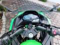 Kawasaki Ninja 300 zelena - thumbnail 6