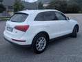 Audi Q5 Q5 3.0 V6 tdi quattro s-tronic Bianco - thumbnail 3