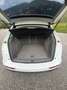 Audi Q5 Q5 3.0 V6 tdi quattro s-tronic Bianco - thumbnail 7