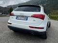 Audi Q5 Q5 3.0 V6 tdi quattro s-tronic Bianco - thumbnail 5