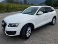 Audi Q5 Q5 3.0 V6 tdi quattro s-tronic Bianco - thumbnail 2