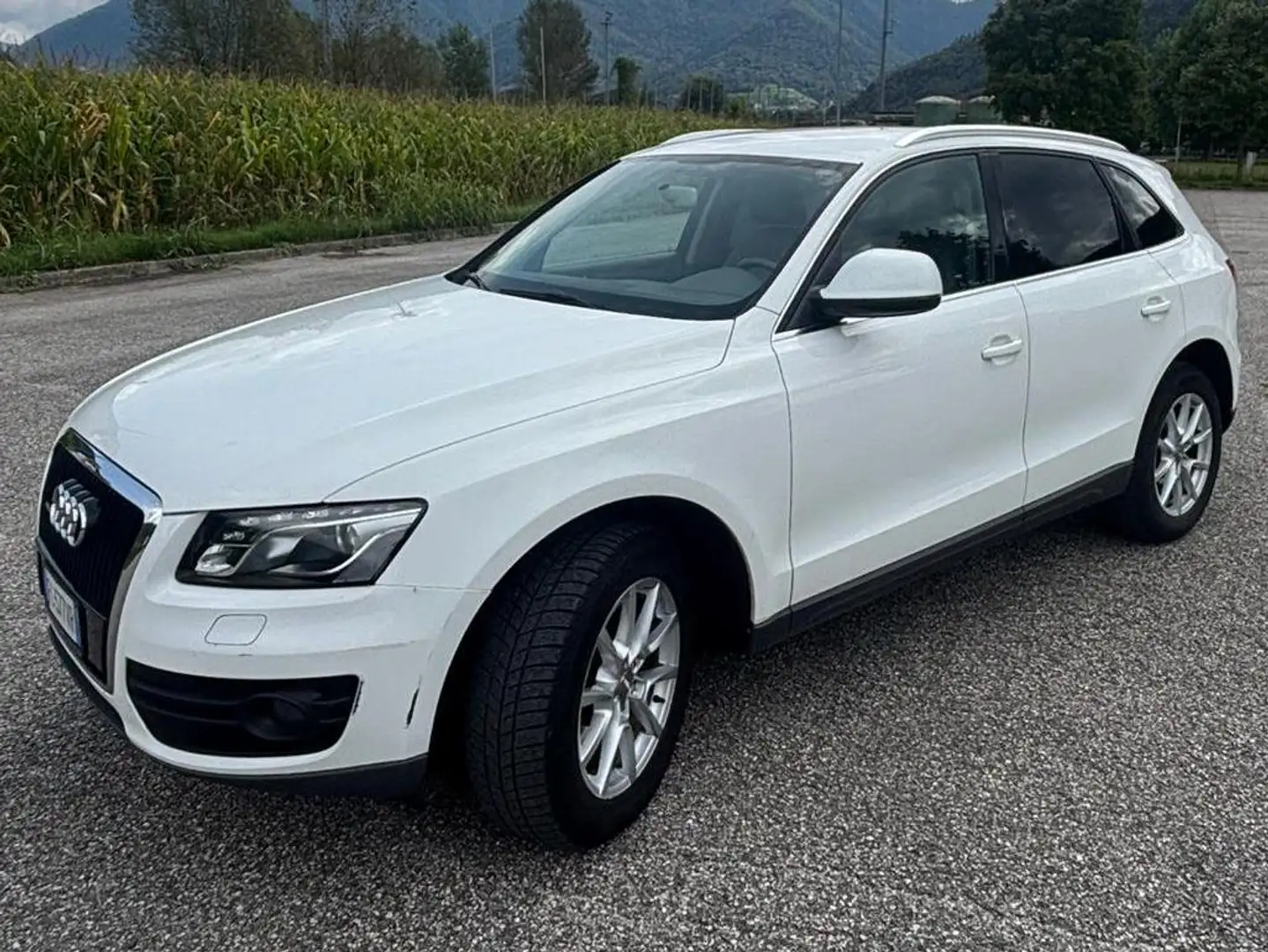 Audi Q5 Q5 3.0 V6 tdi quattro s-tronic Bianco - 2