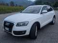 Audi Q5 Q5 3.0 V6 tdi quattro s-tronic Bianco - thumbnail 4