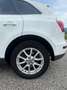 Audi Q5 Q5 3.0 V6 tdi quattro s-tronic Bianco - thumbnail 6