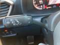 CUPRA Formentor VZ 2.0 TSI 4Drive DSG AHK Beats Grün - thumbnail 14