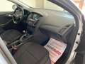 Ford Focus Focus SW 1.5 tdci Titanium Business s Gris - thumbnail 14