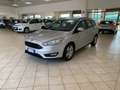 Ford Focus Focus SW 1.5 tdci Titanium Business s Gris - thumbnail 1