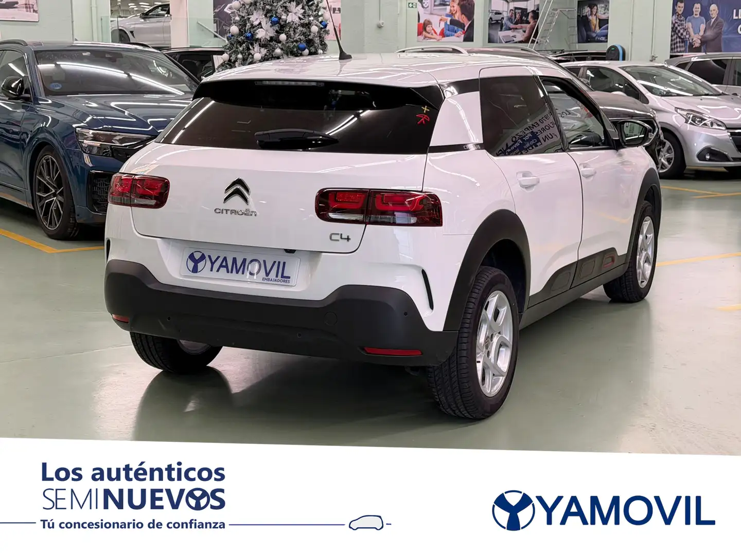 Citroen C4 Cactus 1.2 PureTech S&S Shine 110 Weiß - 2