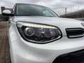 Kia Soul 1.6 CRDi Soul TELECAMERA CRUISE SENSORI PDC Bianco - thumbnail 13
