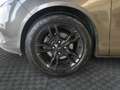Ford B-Max 1.5 tdci Plus 75cv Gris - thumbnail 5