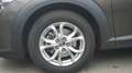 Mazda CX-3 2.0 Navi Totwinkel Kamera LED Sitzheizung Gris - thumbnail 29