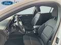 Ford Focus ST-Line X - 1.0 EcoBoost 125pk - NIEUW! Blanc - thumbnail 14