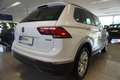 Volkswagen Tiguan 2,0 TDI 4Motion DSG ACC/Navi Weiß - thumbnail 5