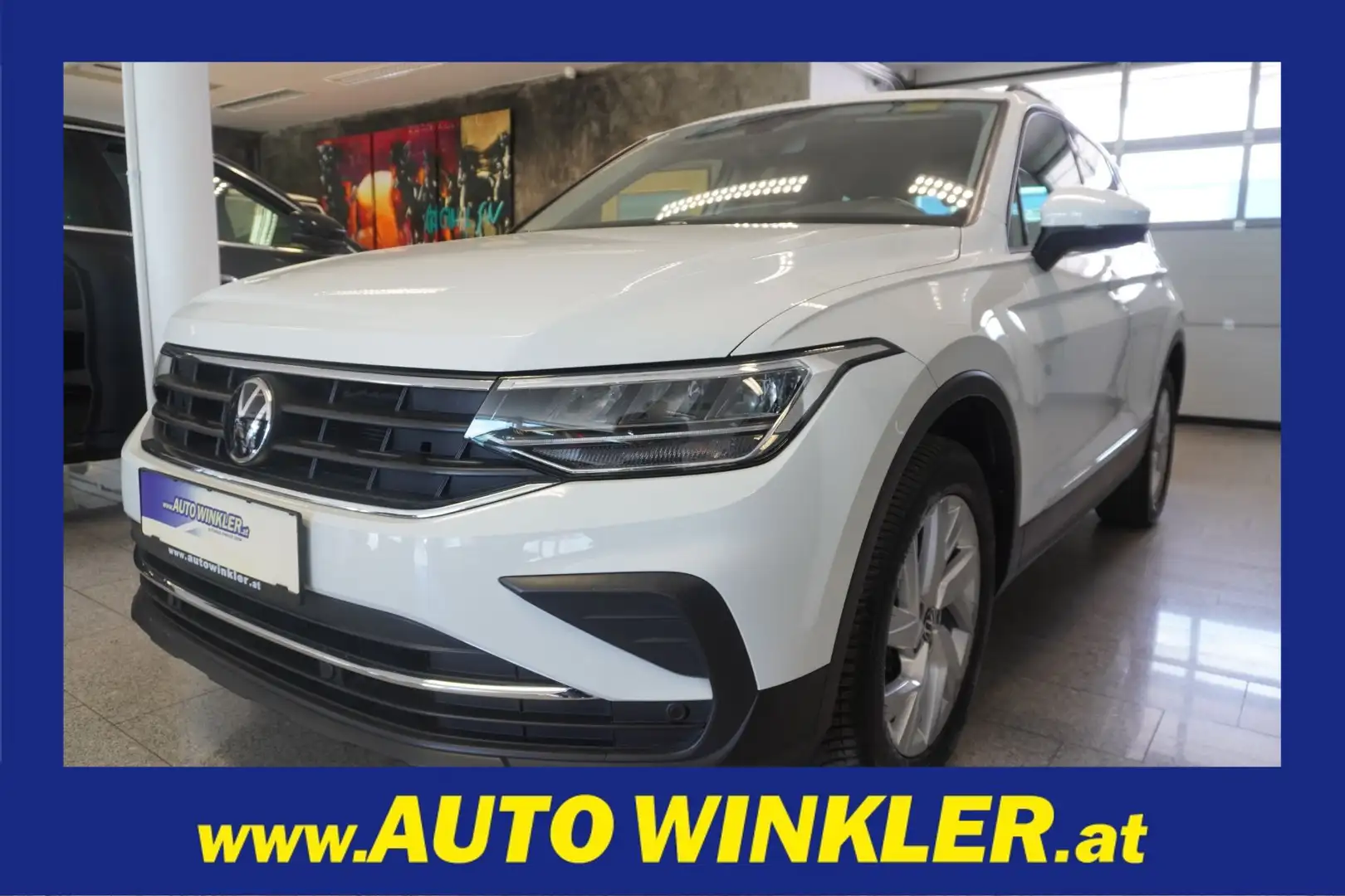 Volkswagen Tiguan 2,0 TDI 4Motion DSG ACC/Navi Weiß - 1