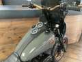 Harley-Davidson Dyna Low Rider FXDL 103Ci Grey & Gold Edition Club Style siva - thumbnail 8