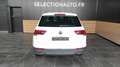 Volkswagen Tiguan II 2.0 TDI 150 DSG7 LIFE BUSINESS Blanc - thumbnail 5