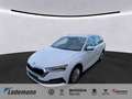 Skoda Octavia Combi 2.0 TDI DSG STYLE AHK+HEAD-UP+NAVI Weiß - thumbnail 1