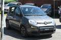 Fiat Panda 1.0 FireFly S&S Hybrid City Life Gris - thumbnail 3
