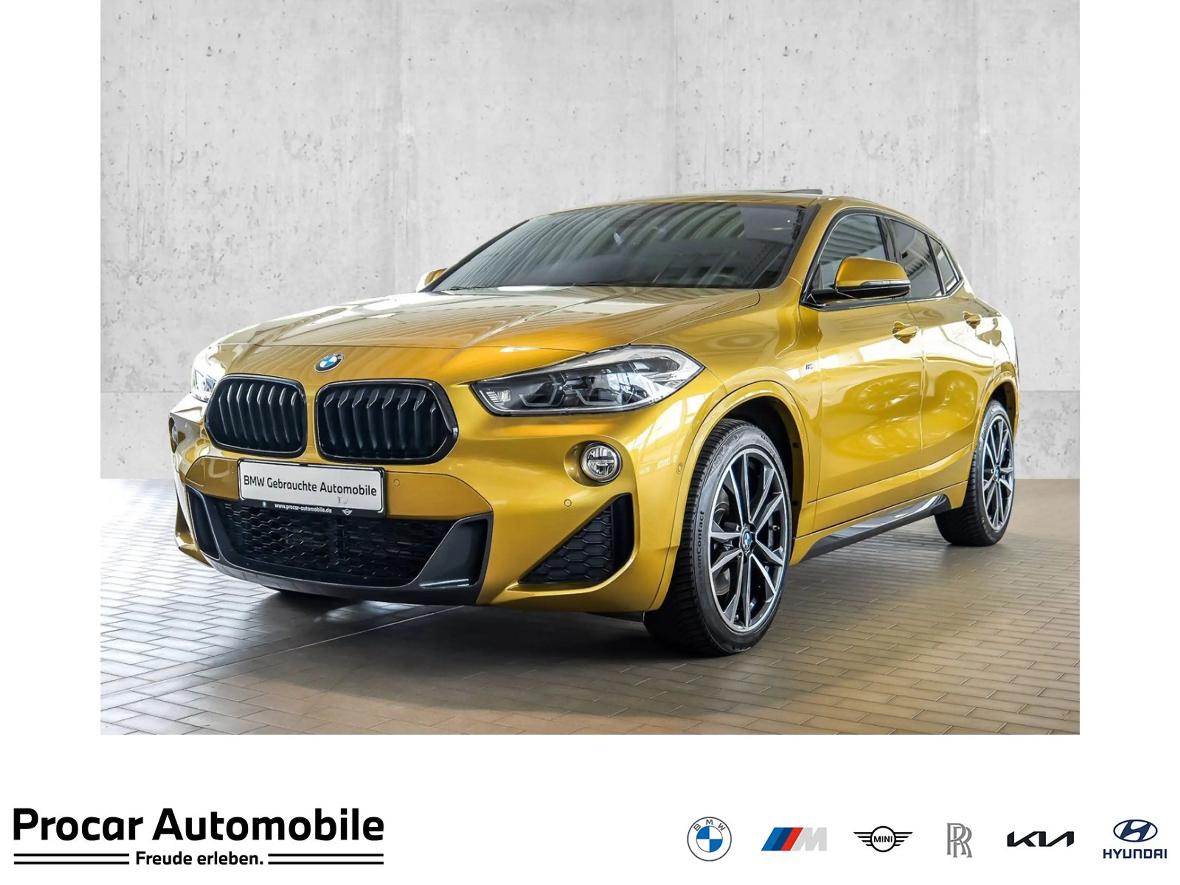 BMW X2 sDrive20i M-Sport HeadUp Pano Leder Kamera