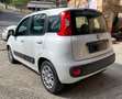 Fiat Panda Easy 1.3 mjt 16v  - 95cv Bianco - thumbnail 6