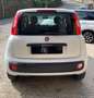 Fiat Panda Easy 1.3 mjt 16v  - 95cv Bianco - thumbnail 5